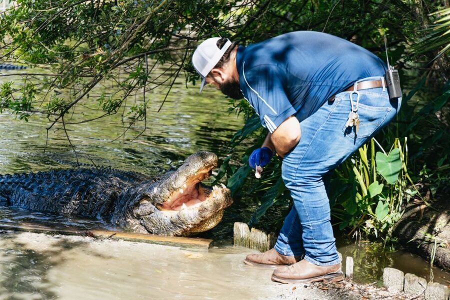 Orlando: Gatorland Skip-the-Line Ticket - Key points to know before you go