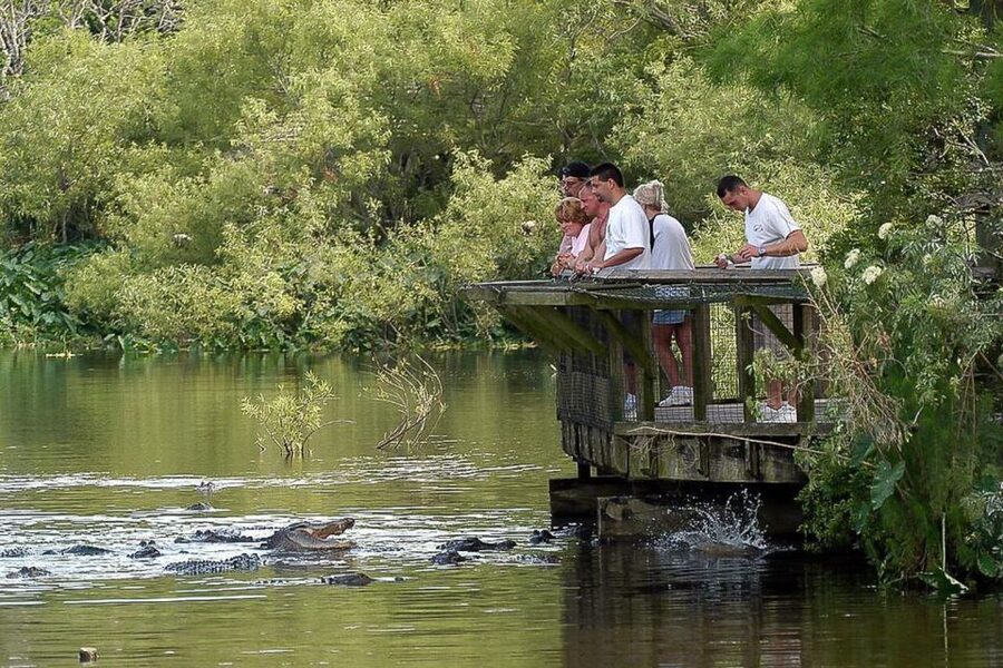 Orlando: Gatorland Skip-the-Line Ticket - Legends of the Swamp in the shaded stadium