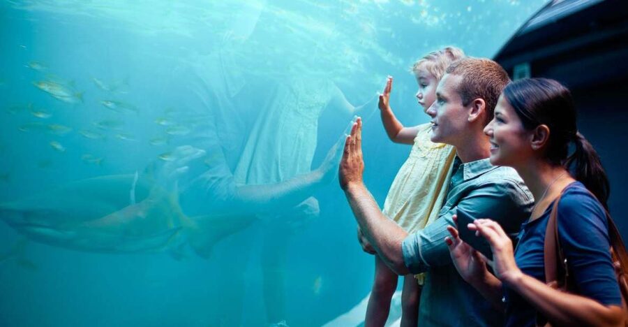 Orlando: SEA LIFE Orlando Aquarium - Who gets the best value from the $30 price?