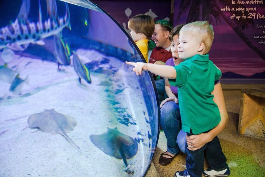 Orlando: SEA LIFE Orlando Aquarium - Watching aquarists care for the animals