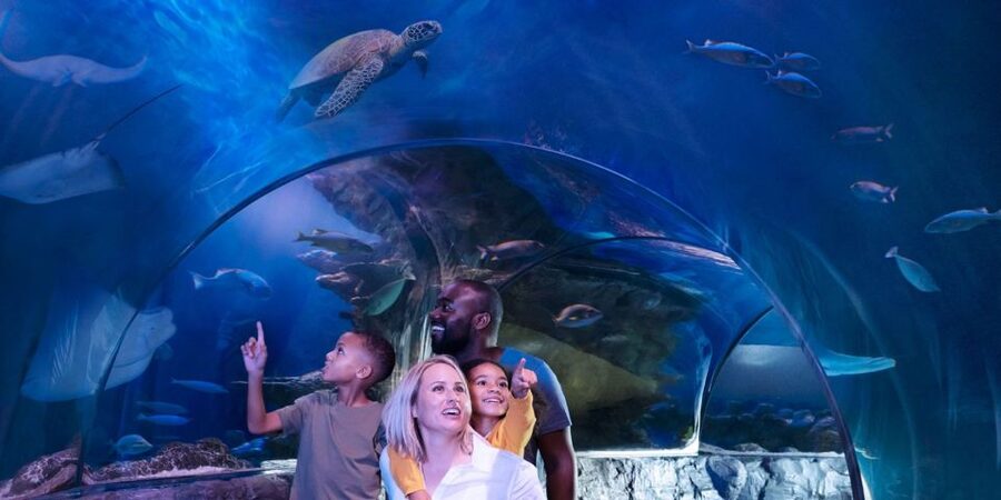 Orlando: SEA LIFE Orlando Aquarium - How long you should allow
