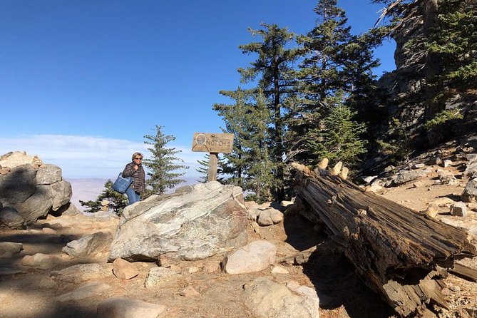Palm Springs Aerial Tramway Admission Ticket - From Palm Springs heat to San Jacinto pine forest