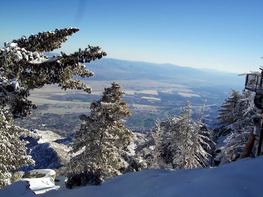 Palm Springs: Aerial Tramway Round-Trip Ticket - The Mountain Station at 8,516 feet