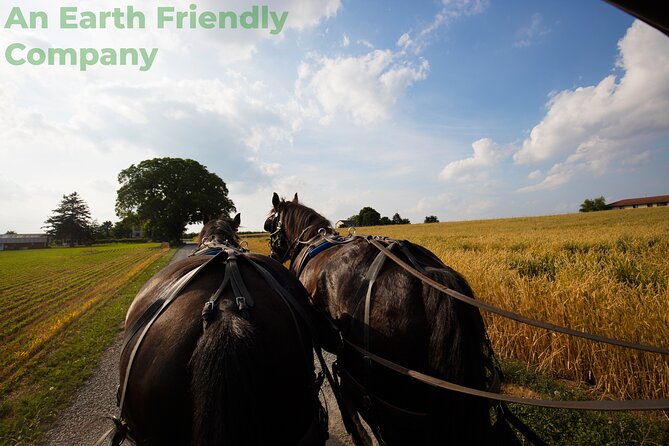 Philadelphia and Amish Country, 1-Day Tour from NYC - Liberty Bell and Congress Hall: a fast start in the old city