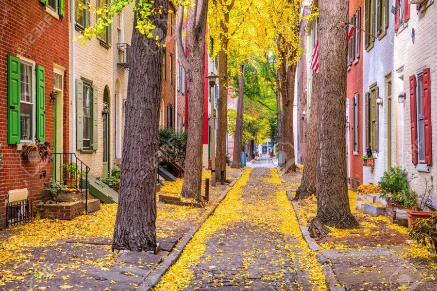 Philadelphia: Revolution and The Founders History Tour - Weather, walking, and what to bring