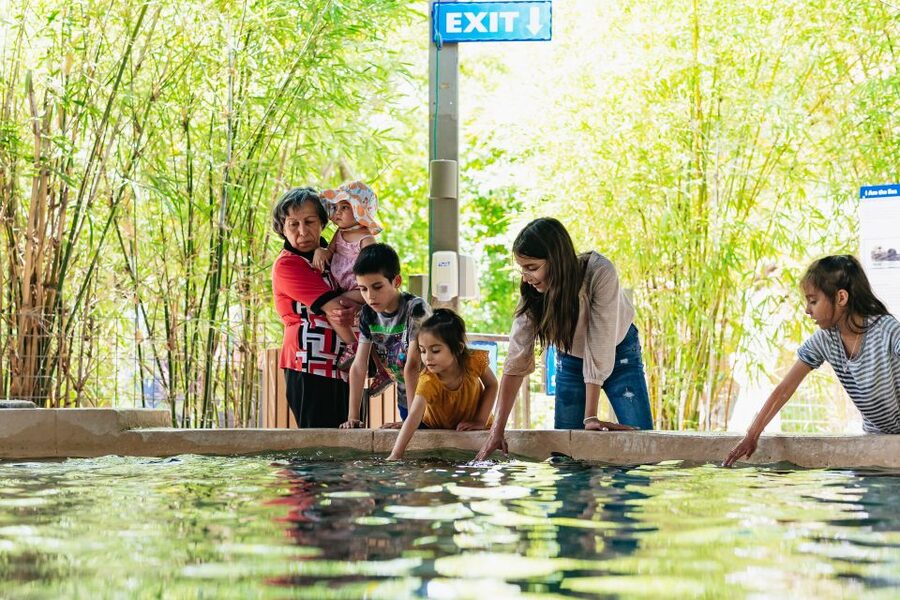 Phoenix Zoo One Day General Admission Ticket - What your $39 Phoenix Zoo ticket covers