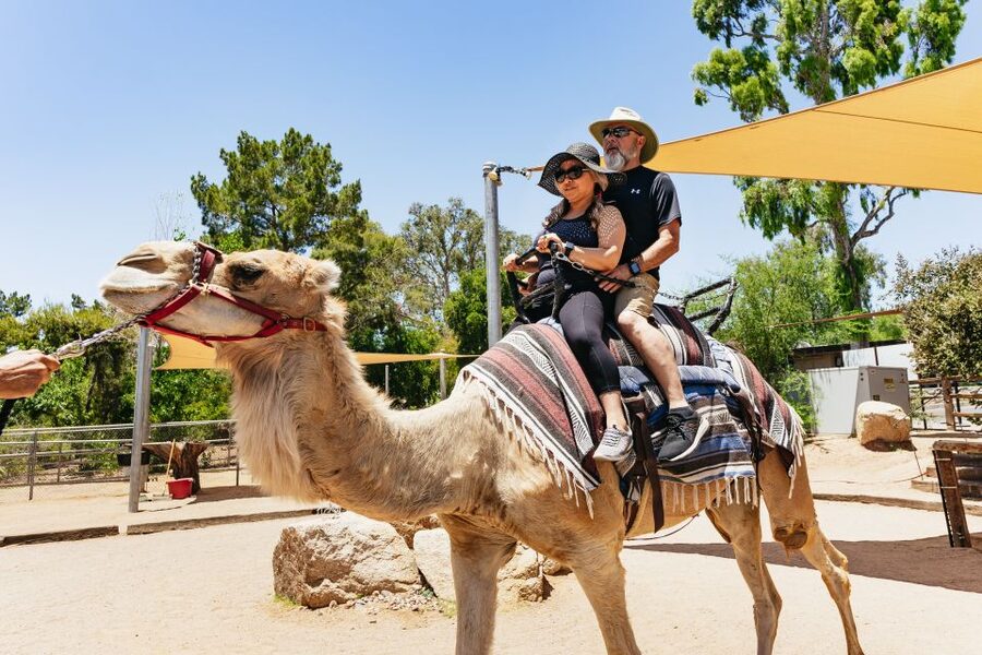 Phoenix Zoo One Day General Admission Ticket - Children’s Trail and playground time