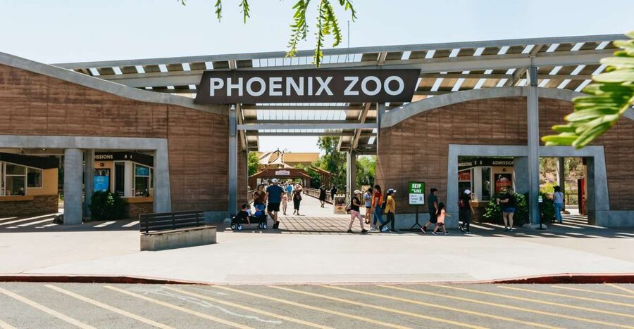 Phoenix Zoo One Day General Admission Ticket - Heat, water, food, and practical comfort