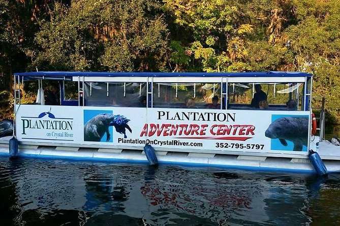 Plantation's Kings Bay Scenic Cruise - Other wildlife keeps the cruise interesting