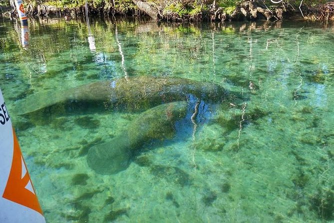 Plantation's Kings Bay Scenic Cruise - What the one-hour route is really like