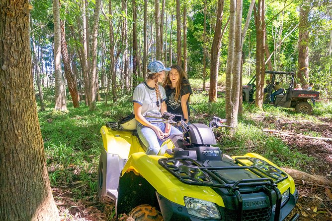 Polynesian Cultural ATV Tour in Kona - The wood carving question