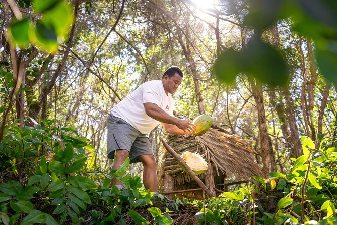 Polynesian Cultural ATV Tour in Kona - Riding through jungle trails and lava rock
