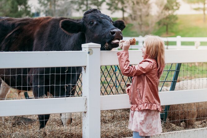 Premium Amish Country Tour including Amish Farm and House - The 90-Minute Ride Through Lancaster’s Back Roads