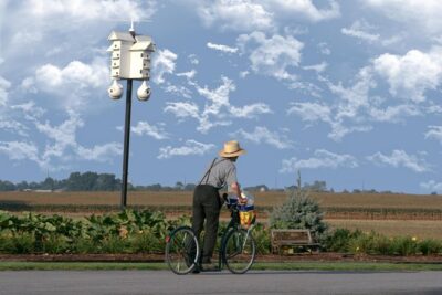 Premium Amish Country Tour including Amish Farm and House
