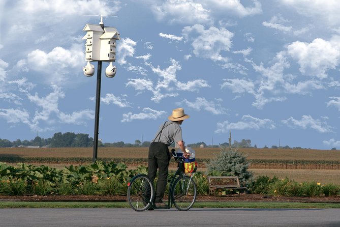 Premium Amish Country Tour including Amish Farm and House - Walking the 15-Acre Farm and Homestead