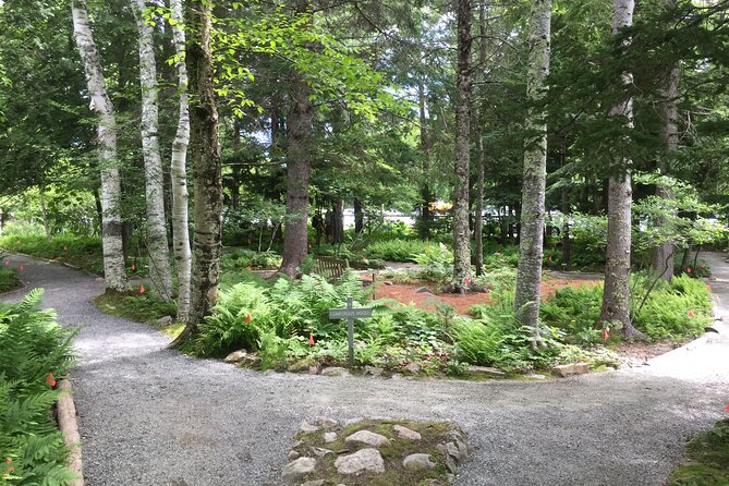 Premium Narrated Bus Tour of Bar Harbor and Acadia National Park (3.5 Hours) - What $99.36 means in practical terms