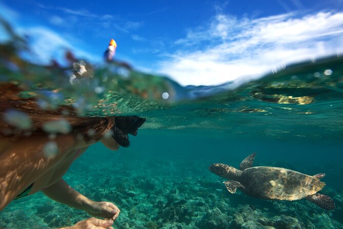 Premium Oahu Circle Island Tour – Small Group, No Crowds - Makapu’u Point and the eastern cliffs