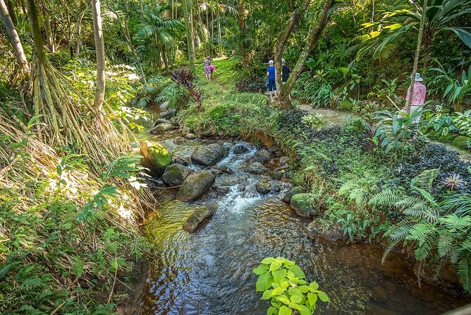 Princeville Botanical Gardens Tour and Chocolate Tasting Ticket - Starting at the upper terraces