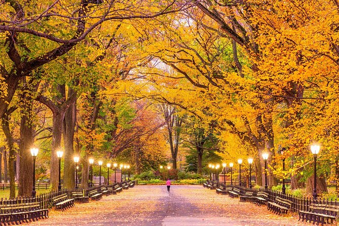 Private Central Park Pedicab Tour - Key points to know before you book