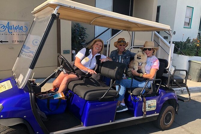 Private Guided Golf Cart Tour of Avalon - Why a golf cart is a smart way to see Avalon