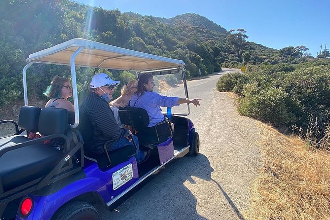 Private Guided Golf Cart Tour of Avalon - The Inn at Mt. Ada and the Three Palms