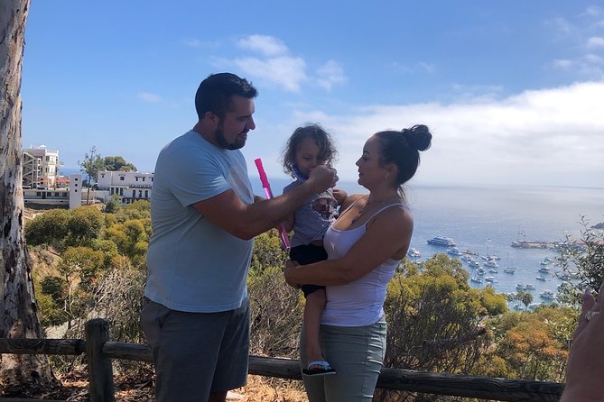 Private Guided Golf Cart Tour of Avalon - Wrigley Memorial and Botanical Garden