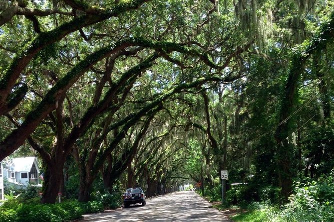 Private Guided Historic Electric Cart Tour of St. Augustine - What guides Tom, Dale, and Diane bring to the ride