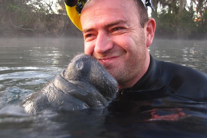 Private 'OG' Manatee Snorkel Tour with Guide for up to 10 people - Why Crystal River manatees are worth the effort