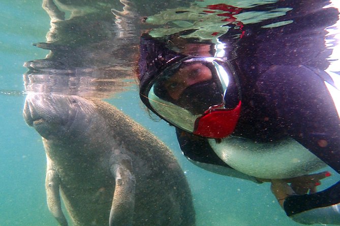 Private 'OG' Manatee Snorkel Tour with Guide for up to 10 people - Photos, memories, and one small catch