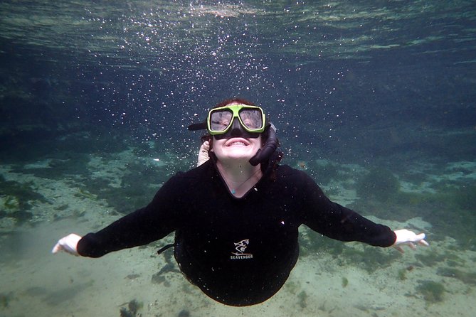 Private 'OG' Manatee Snorkel Tour with Guide for up to 10 people - Who should book this private manatee tour