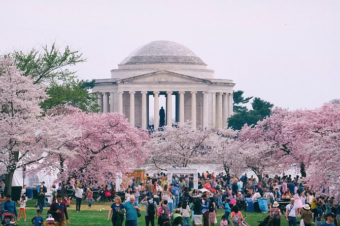 Private Washington DC City Tour - Why a private vehicle makes sense in Washington DC