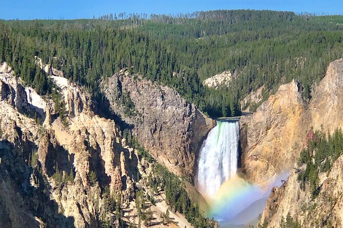 Private Yellowstone Tour: ICONIC Sites, Wildlife, Family Friendly Hikes + lunch - Hayden Valley and the first wildlife search