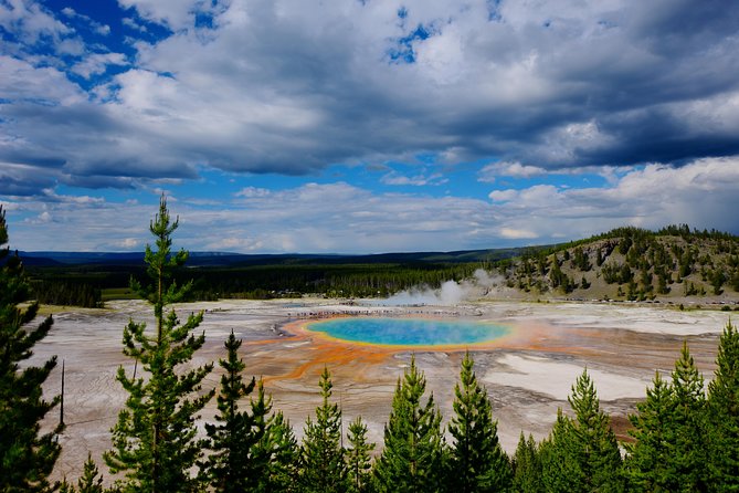 Private Yellowstone Tour: ICONIC Sites, Wildlife, Family Friendly Hikes + lunch - Lower Falls and the Grand Canyon of the Yellowstone