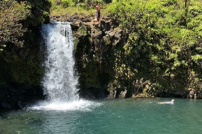 Rainforest Tour to Hana and Beyond - Why this Road to Hana tour works