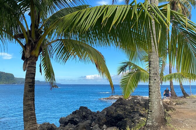 Rainforest Tour to Hana and Beyond - Kaumahina and Wailua valley views