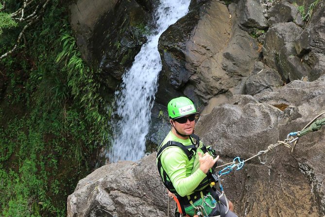 Rappel Maui Waterfalls and Rainforest Cliffs - Rappelling above the rainforest