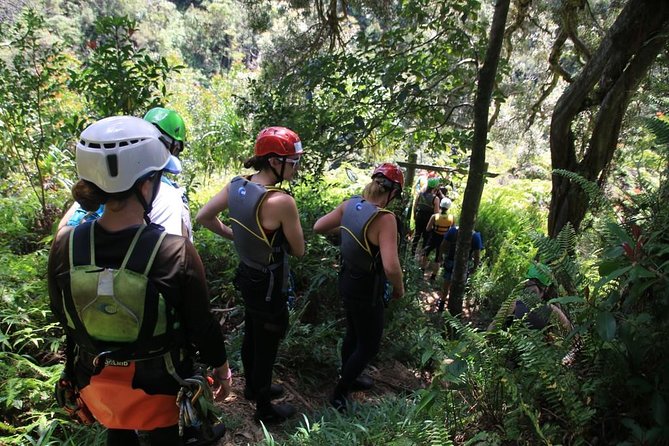 Rappel Maui Waterfalls and Rainforest Cliffs - Who will enjoy this most