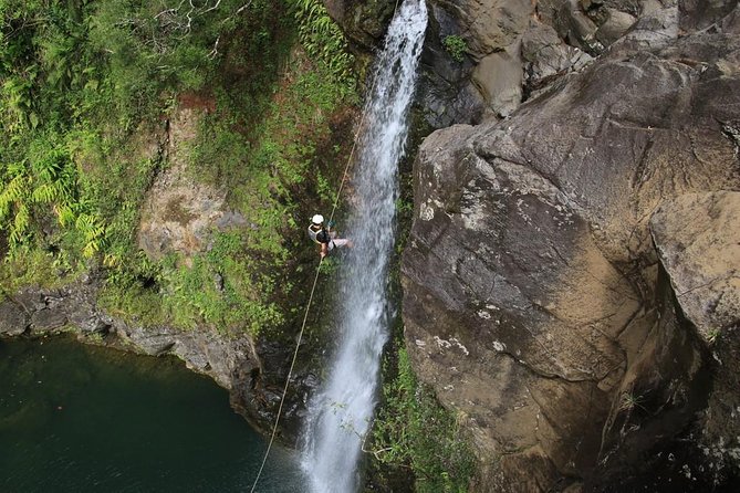 Rappel Maui Waterfalls and Rainforest Cliffs - Starting near the Hana Highway in Haiku