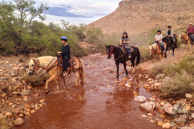 Red Rock Canyon Sunset Horseback Ride and Barbeque Dinner - What to wear for a desert evening