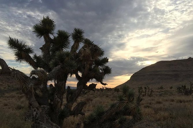 Red Rock Canyon Sunset Horseback Ride and Barbeque Dinner - Ninety minutes, or closer to one hour and 45 minutes