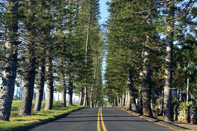 Road to Hana: Full-Day Scenic Drive with Blacksand & Waterfalls - Ho‘okipa Beach and the first coastal views