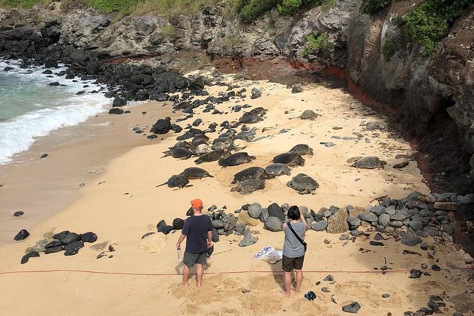 Road to Hana: Full-Day Scenic Drive with Blacksand & Waterfalls - Wai‘ānapanapa’s black sand, lava, and caves