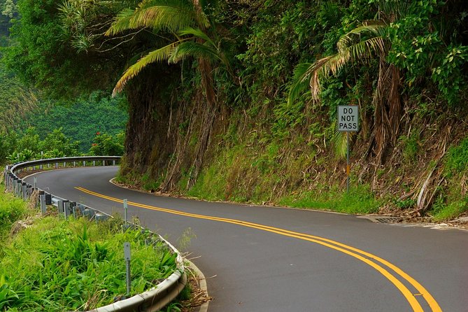 Road to Hana: Full-Day Scenic Drive with Blacksand & Waterfalls - Wailua Valley, rainbow eucalyptus, and the return route