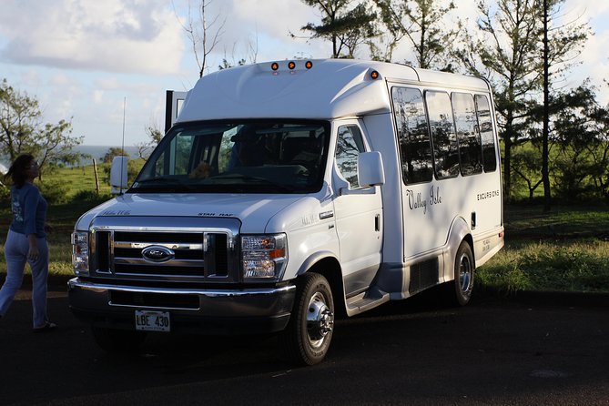 Road to Hana Tour with Lunch and Pickup - Pua’a Ka’a and the possible waterfall swim