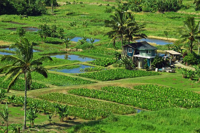 Road to Hana Tour with Lunch and Pickup - Local stops and the banana bread tradition