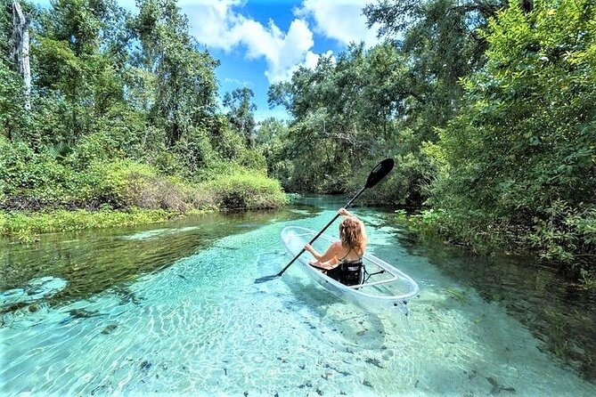 Rock Springs 2-Hour Glass Bottom Guided Kayak Eco Tour - Key points to know before you paddle