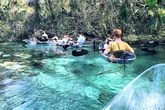 Rock Springs 2-Hour Glass Bottom Guided Kayak Eco Tour - Why Emerald Cut is worth the trip from Orlando