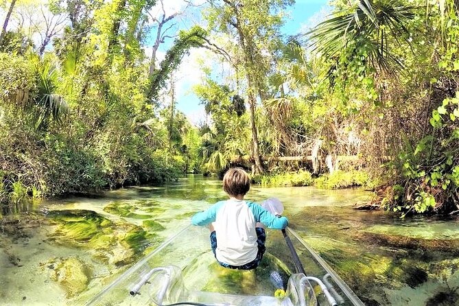 Rock Springs 2-Hour Glass Bottom Guided Kayak Eco Tour - What you might see below and along the banks