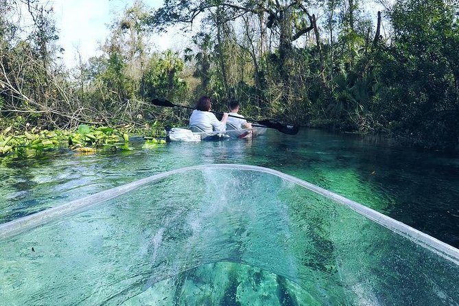 Rock Springs 2-Hour Glass Bottom Guided Kayak Eco Tour - How hard is the kayaking?