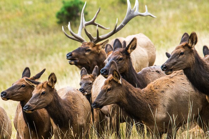 Rocky Mountain Escape - Key points to know before booking